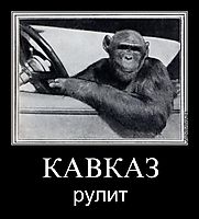 КАВКАЗ рулит