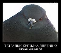 ТЕТРАДКИ КУПИЛ? А ДНЕВНИК? попизди мне еще тут