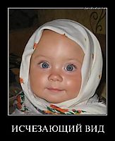 ИСЧЕЗАЮЩИЙ ВИД 