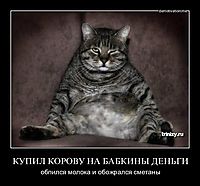 КУПИЛ КОРОВУ НА БАБКИНЫ ДЕНЬГИ обпился молока и обожрался сметаны