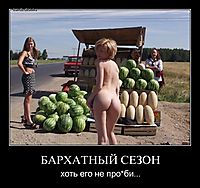 БАРХАТНЫЙ СЕЗОН хоть его не про*би...