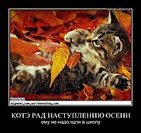 КОТЭ РАД НАСТУПЛЕНИЮ ОСЕНИ ему не надо идти в школу