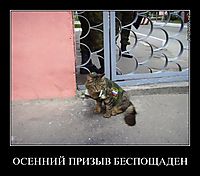 ОСЕННИЙ ПРИЗЫВ БЕСПОЩАДЕН 