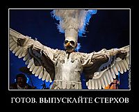 ГОТОВ. ВЫПУСКАЙТЕ СТЕРХОВ 