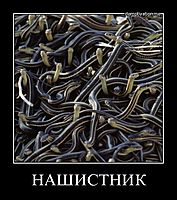 НАШИСТНИК 