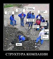 СТРУКТУРА КОМПАНИИ 