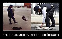 ОТЛИЧИЕ МЕНТА ОТ ПОЛИЦЕЙСКОГО 