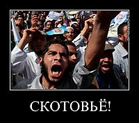 СКОТОВЬЁ! 