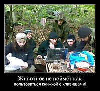 Животное не поймёт как пользоваться книжкой с клавишами!