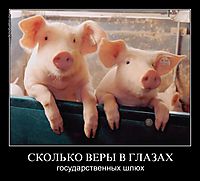 СКОЛЬКО ВЕРЫ В ГЛАЗАХ государственных шлюх