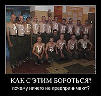 КАК С ЭТИМ БОРОТЬСЯ? почему ничего не предпринимают?