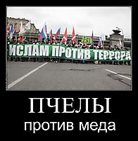ПЧЕЛЫ против меда