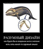 РАЗУМНЫЙ ДИЗАЙН как будто бы в создании кита с ногами есть хоть какой-то здравый смысл