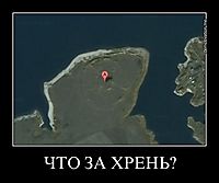 ЧТО ЗА ХРЕНЬ? 