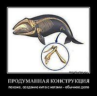 ПРОДУМАННАЯ КОНСТРУКЦИЯ похоже, создание кита с ногами - обычное дело