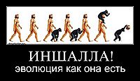 ИНШАЛЛА! эволюция как она есть