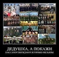 ДЕДУШКА, А ПОКАЖИ КАК САМОУТВЕРЖДАЮТСЯ ГОРНЫЕ ОБЕЗЬЯНЫ