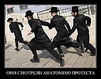 ОНИ СМОТРЕЛИ АНАТОМИЮ ПРОТЕСТА 