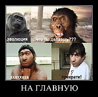 НА ГЛАВНУЮ 