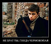 НЕ БРАТ ТЫ, ГНИДА ЧЕРНОЖОПАЯ 