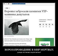 ВОРОН-ПРОВОДНИК В МИР МЕРТВЫХ дождь не может идти вечно!