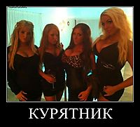 КУРЯТНИК 