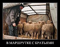 В МАРШРУТКЕ С БРАТЬЯМИ 