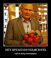 НЕТ ВРЕМЕНИ ОБЪЯСНЯТЬ суй в жопу помидоры