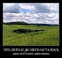 ЭТО ЛЕТО И ДО НЕГО ОСТАЛОСЬ каких-то 211 дней, ждём пасаны