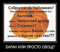 БАРАН ИЛИ ПРОСТО ОВОЩ? 