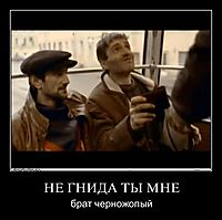 НЕ ГНИДА ТЫ МНЕ брат черножопый