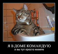 Я В ДОМЕ КОМАНДУЮ а вы тут просто живете