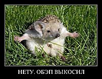 НЕТУ. ОБЭП ВЫКОСИЛ 
