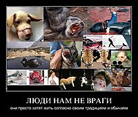 ЛЮДИ НАМ НЕ ВРАГИ они просто хотят жить согласно своим традициям и обычаям