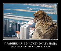 ПРАВИНЦИЯ! В МАСКВУ ЭХАТЬ НАДА БИСЬНЕСЬ ДЭЛАТЬ БУДЭМ. ВАХ-ВАХ
