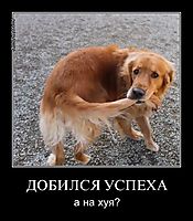ДОБИЛСЯ УСПЕХА а на хуя?