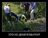ЭТО НЕ ДЕМОТИВАТОР! 