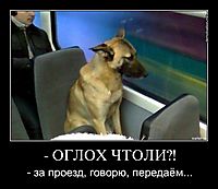 - ОГЛОХ ЧТОЛИ?! - за проезд, говорю, передаём...