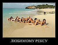ЛЮБИМОМУ РЕКСУ 