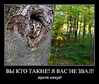 ВЫ КТО ТАКИЕ? Я ВАС НЕ ЗВАЛ! идите нахуй!