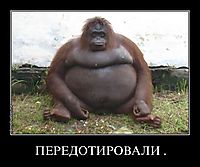 ПЕРЕДОТИРОВАЛИ . 