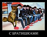 С БРАТИШКАМИ 