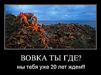 ВОВКА ТЫ ГДЕ? мы тебя уже 20 лет ждем!!