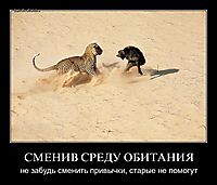 СМЕНИВ СРЕДУ ОБИТАНИЯ не забудь сменить привычки, старые не помогут