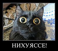 НИХУЯССЕ! 