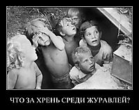 ЧТО ЗА ХРЕНЬ СРЕДИ ЖУРАВЛЕЙ? 