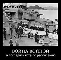 ВОЙНА ВОЙНОЙ а погладить кота по расписанию