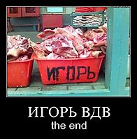 ИГОРЬ ВДВ the end