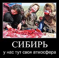 СИБИРЬ у нас тут своя атмосфера