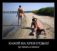 КАКОЙ НА ХРЕН ОТДЫХ! тут пахать и пахать!